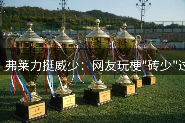 弗莱力挺威少：网友玩梗"砖少"过犹不及 四载三双实力非凡